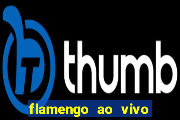 flamengo ao vivo hd play